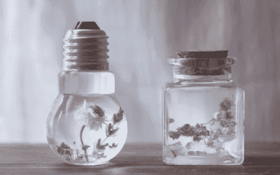 "Store interior using scent marketing to create a pleasant shopping environment for customers."