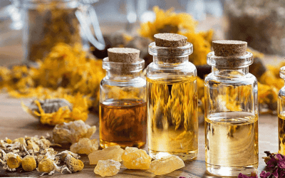 Best essential diffuser oils for home aromatherapy