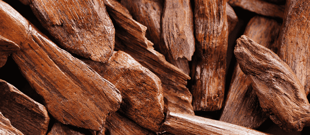 Natural sandalwood tree pieces used for fragrance, skincare, and traditional purposes